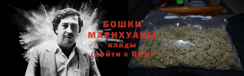 дарк нет клад  Кириллов  Марихуана White Widow 